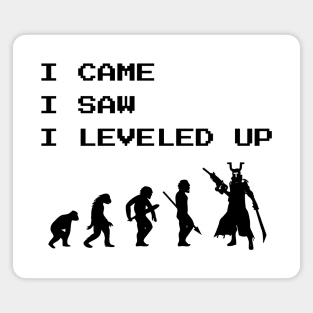 I Came I Saw I Leveled Up Gamer Video Games Fan Magnet